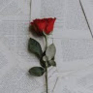 Meet your Posher, Anime